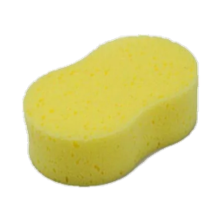 Esponja